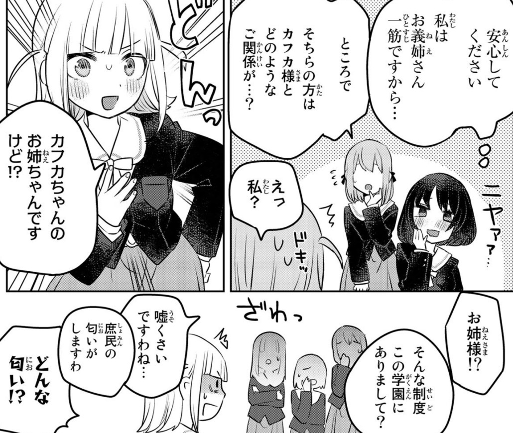 姉になりたい義姉VS百合になりたい義妹 