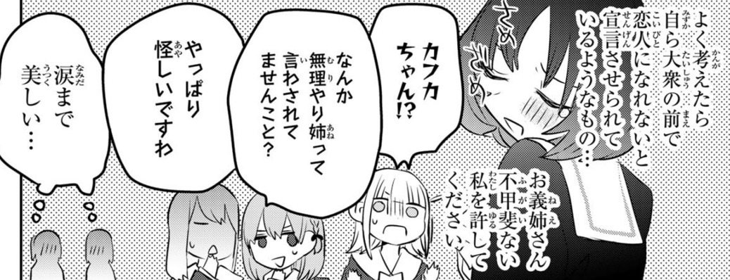 姉になりたい義姉VS百合になりたい義妹 