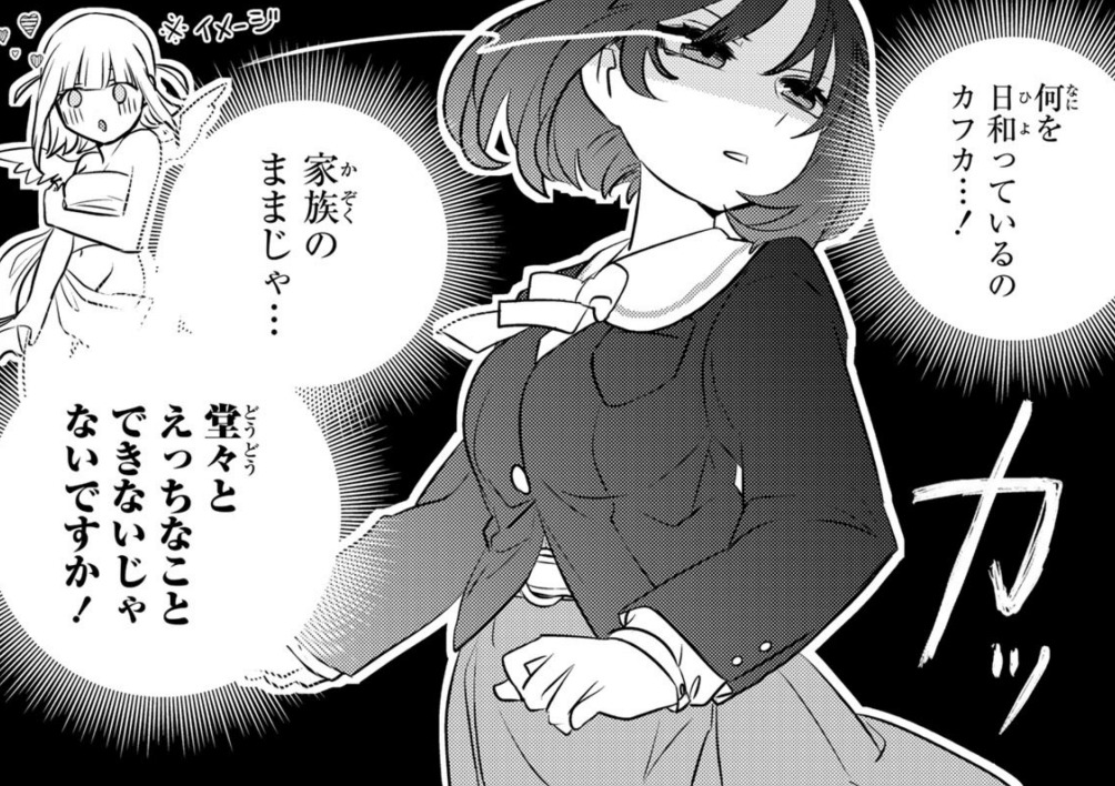 姉になりたい義姉VS百合になりたい義妹 