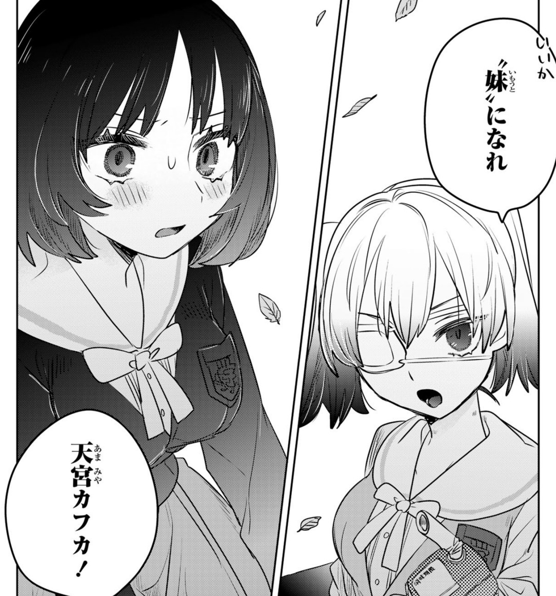 姉になりたい義姉VS百合になりたい義妹 