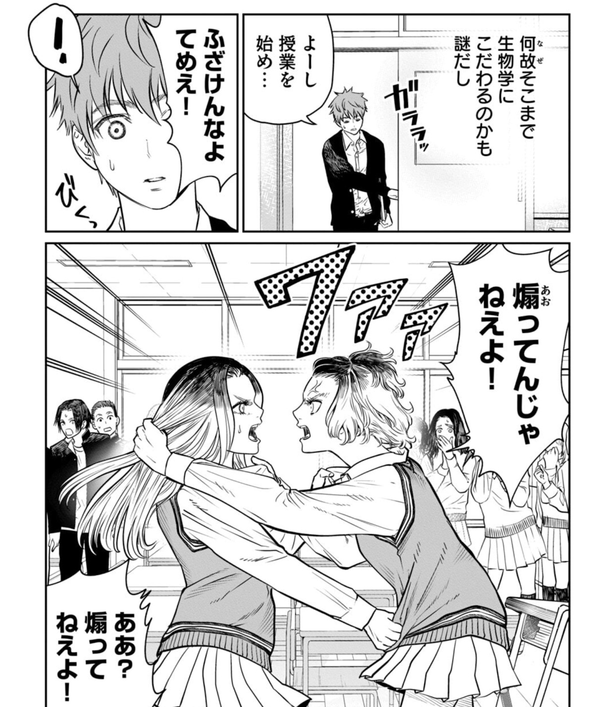 あくまでクジャクの話です。