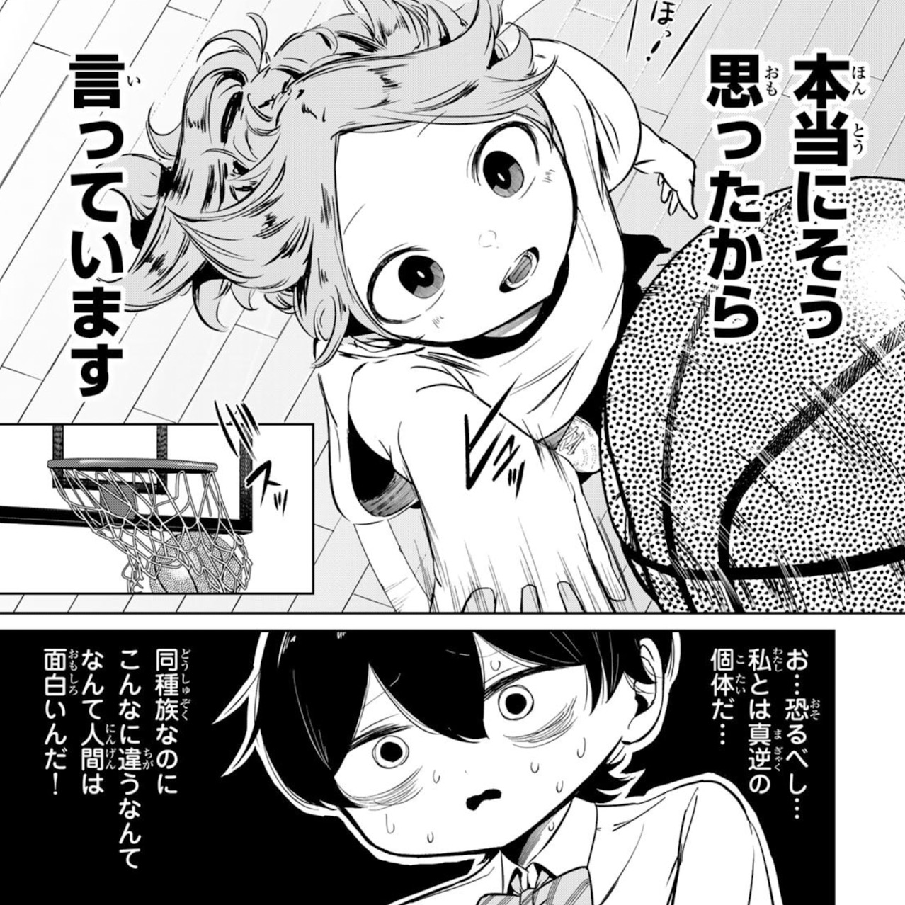 ハナバス　苔石花江のバスケ論