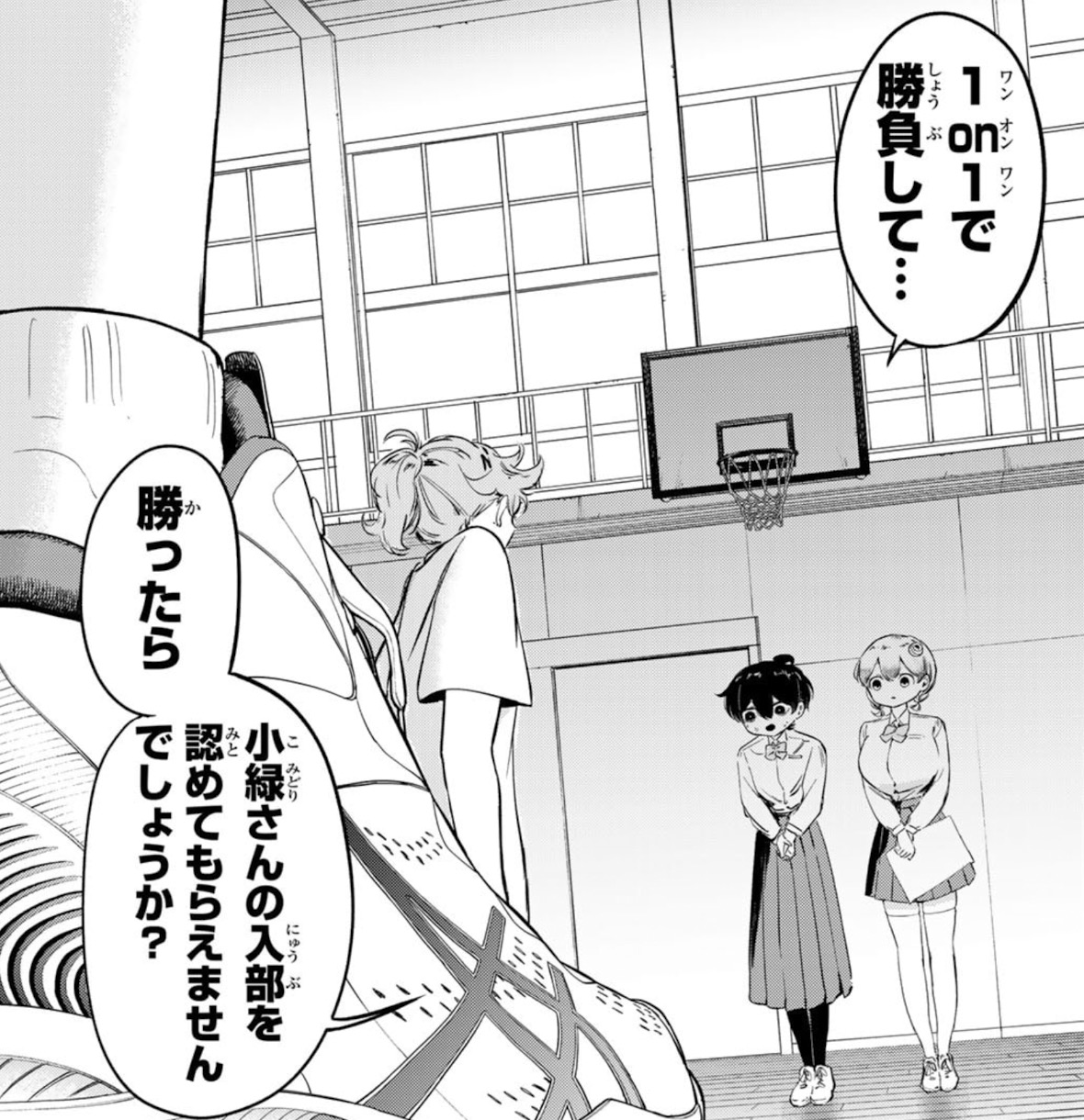 ハナバス　苔石花江のバスケ論