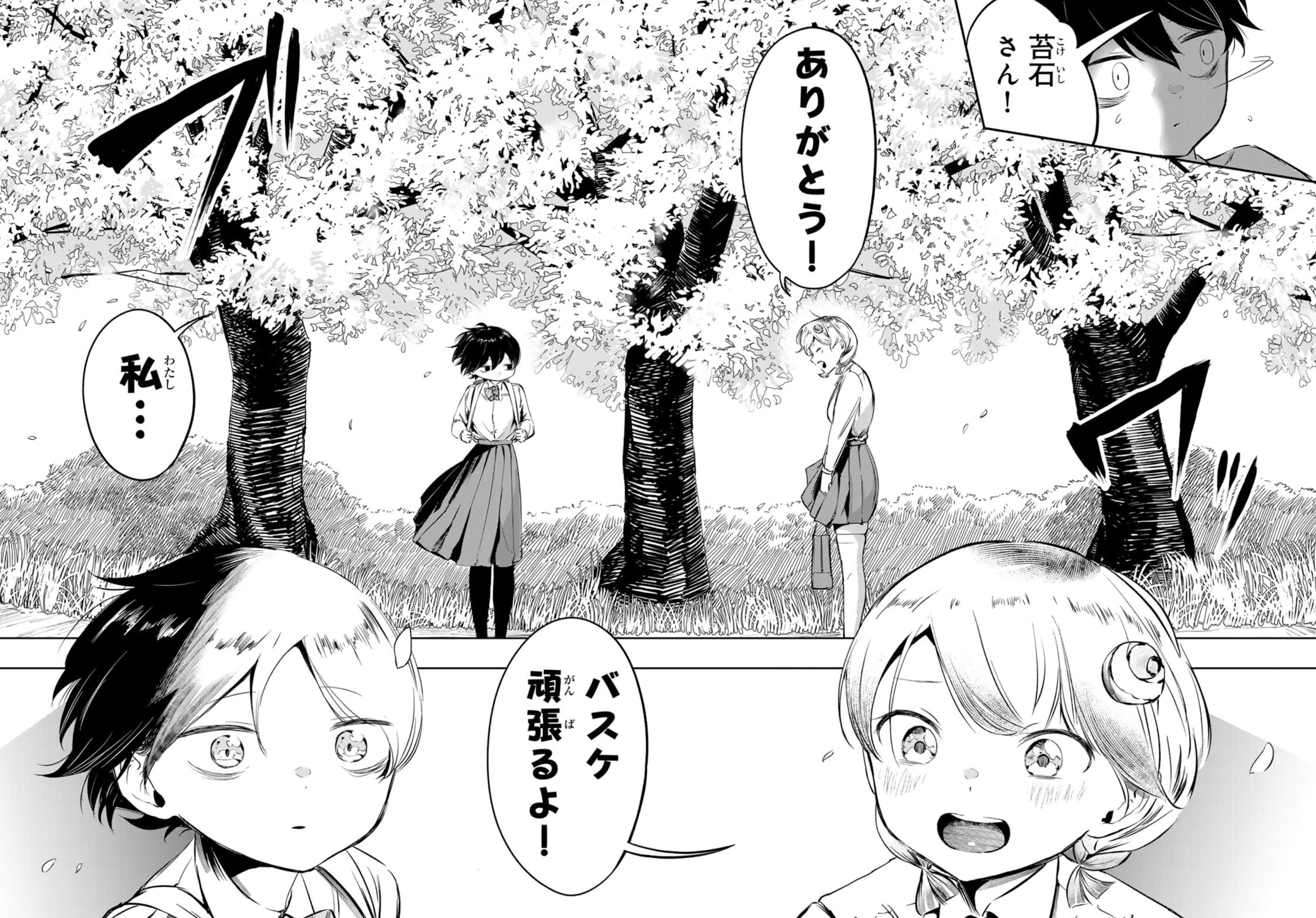 ハナバス　苔石花江のバスケ論