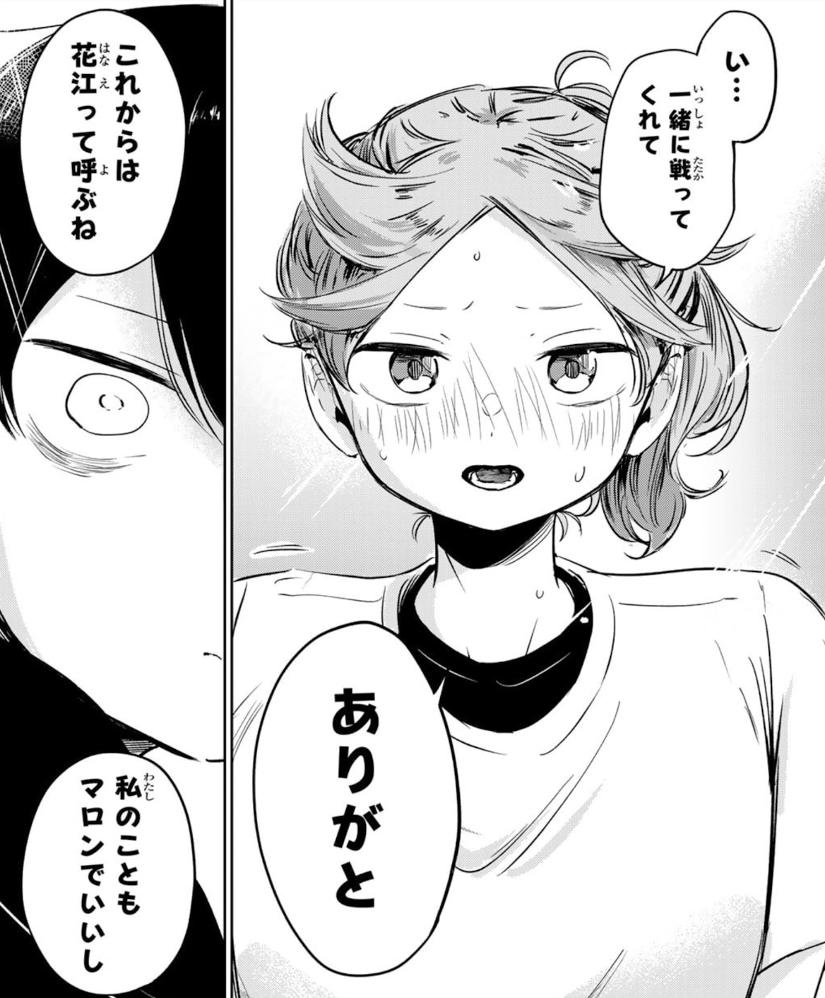 ハナバス　苔石花江のバスケ論