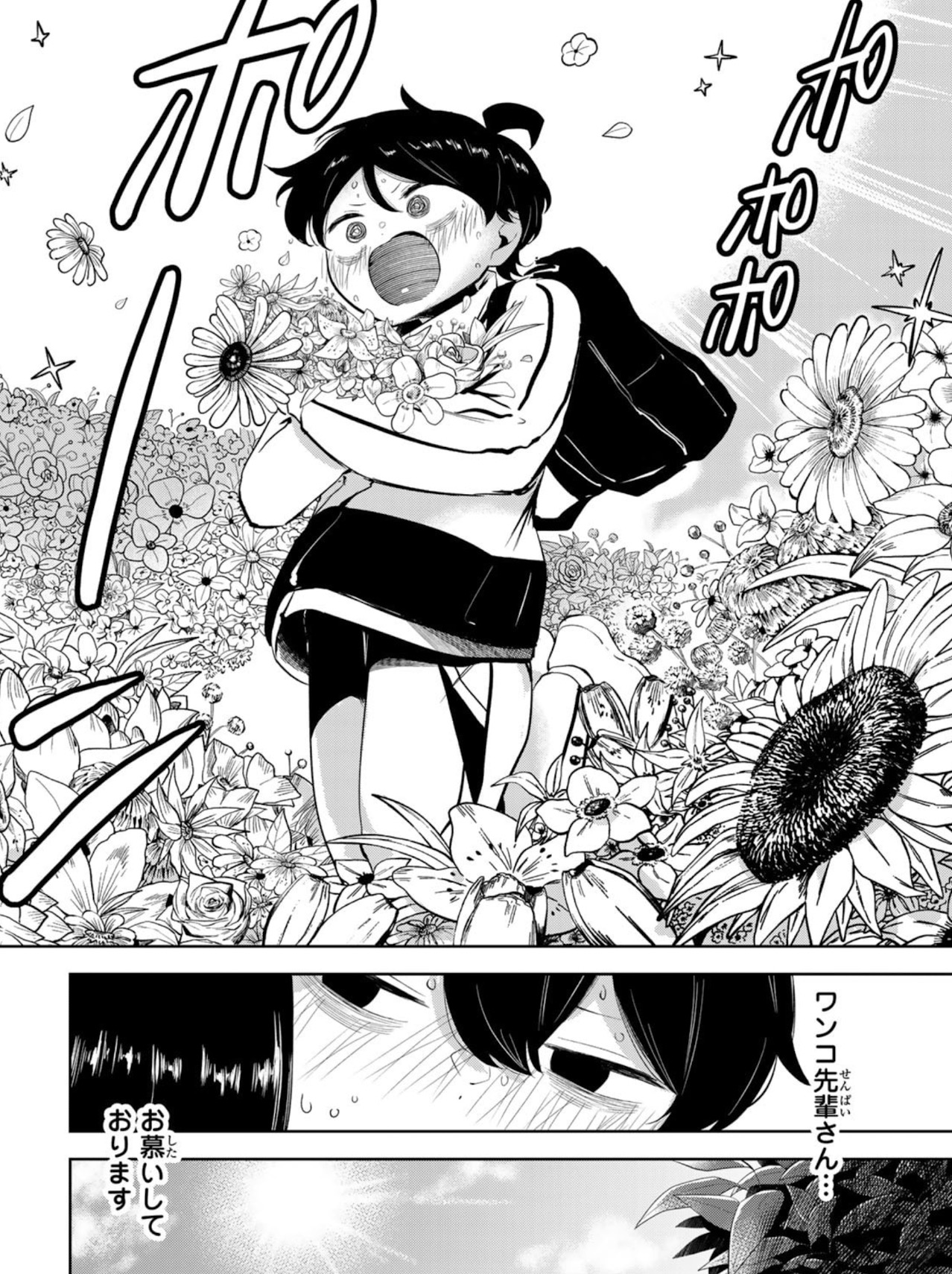ハナバス　苔石花江のバスケ論