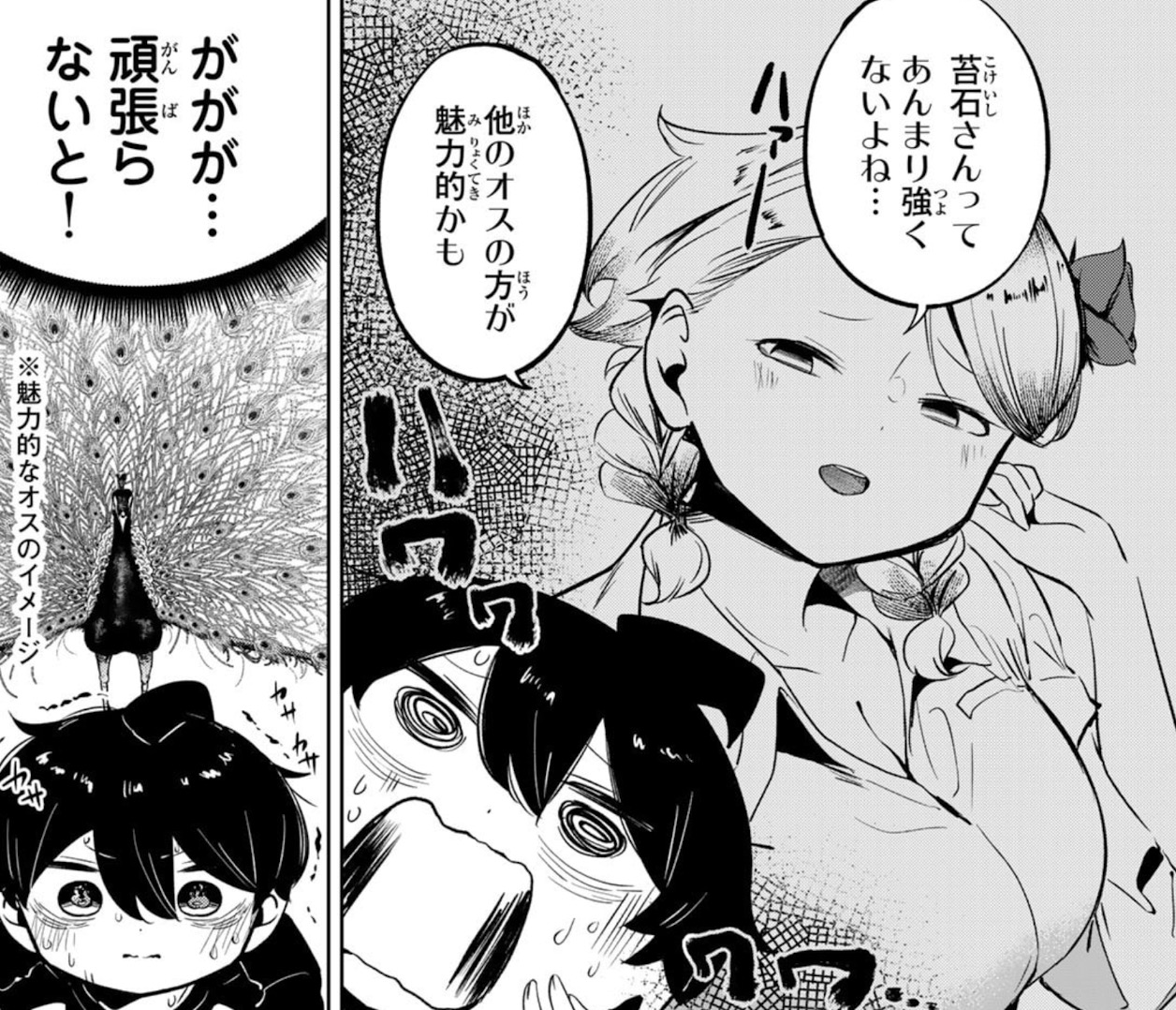 ハナバス　苔石花江のバスケ論